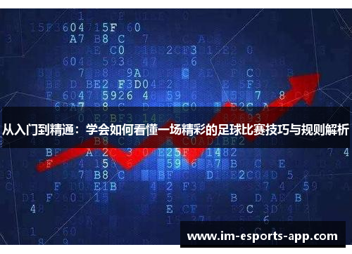 从入门到精通：学会如何看懂一场精彩的足球比赛技巧与规则解析